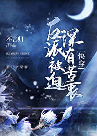 穿到古代，我成了一字并肩王