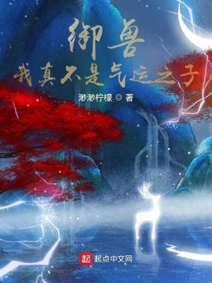 我只想安静地当个魔法师